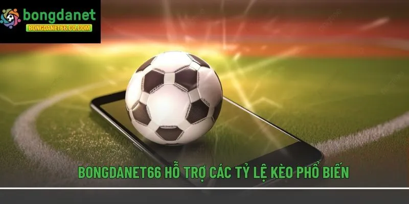Bongdanet66 hỗ trợ các tỷ lệ kèo phổ biến