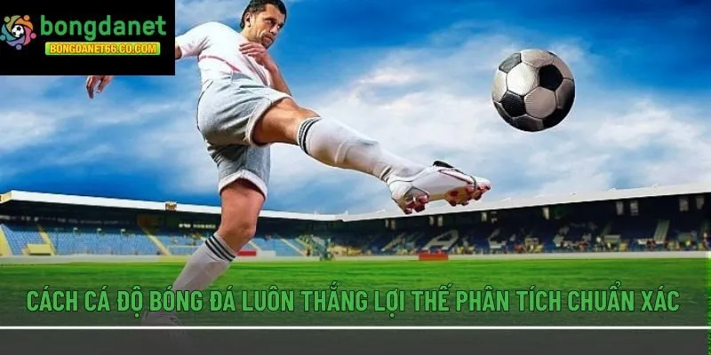 Cách cá độ bóng đá luôn thắng lợi thế phân tích chuẩn xác