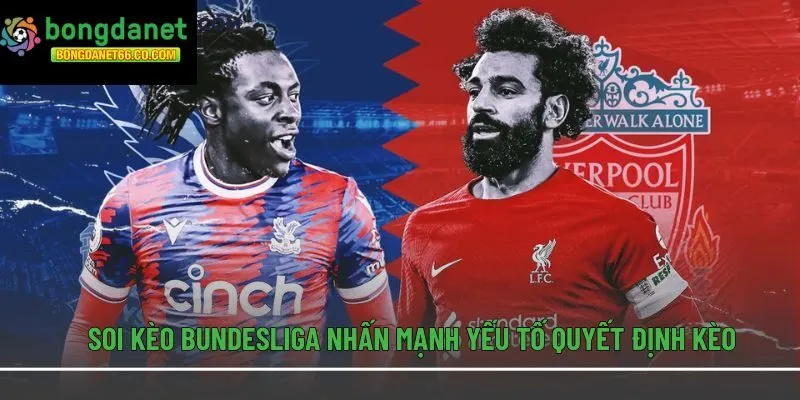 Soi kèo Bundesliga nhấn mạnh yếu tố quyết định kèo