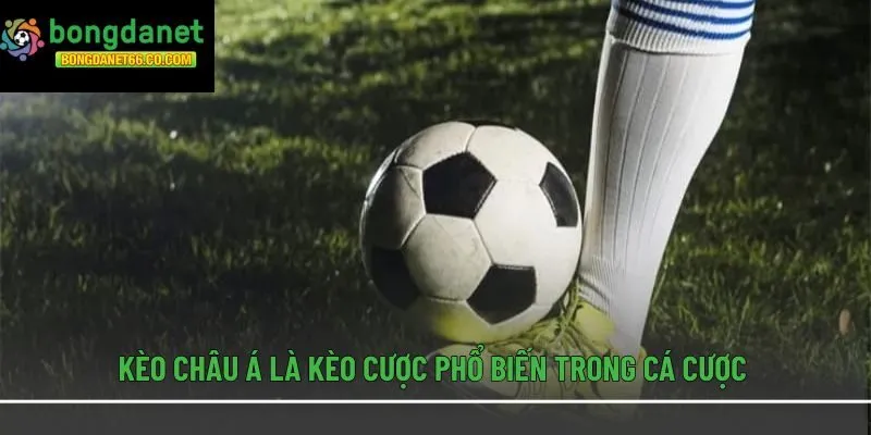 Kèo châu Á là kèo cược phổ biến trong cá cược