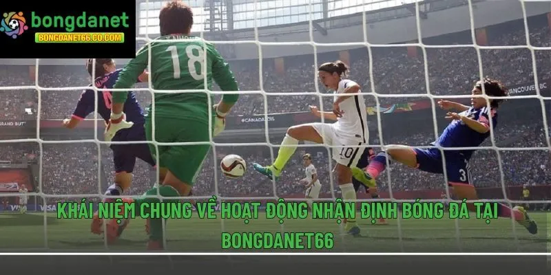 Khái niệm chung về hoạt động nhận định bóng đá tại Bongdanet66