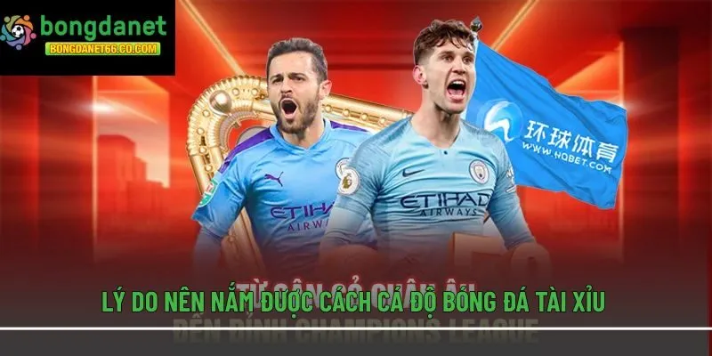 Lý do nên nắm được cách cá độ bóng đá tài xỉu