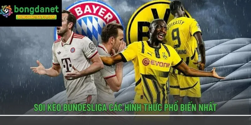 Soi kèo Bundesliga các hình thức phổ biến nhất