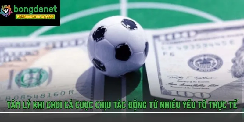 Tâm lý khi chơi cá cược chịu tác động từ nhiều yếu tố thực tế