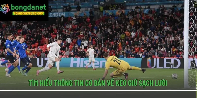 Tìm hiểu thông tin cơ bản về kèo giữ sạch lưới