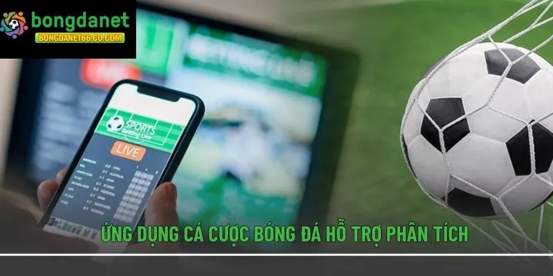 App cá cược bóng đá hỗ trợ phân tích