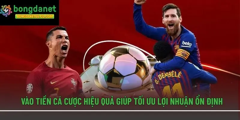 Vào Tiền Cá Cược Hiệu Quả